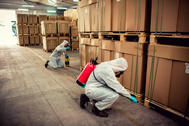Best Local Pest Control Services  in Dermott, AR