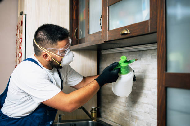 Best Flea Control Services  in Dermott, AR