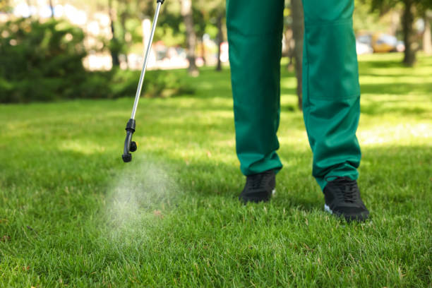 Best Flea Control Services  in Dermott, AR