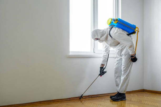 Trusted Dermott, AR Pest Control Experts