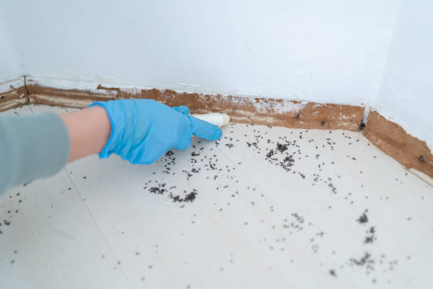 Best Best Pest Control Companies  in Dermott, AR