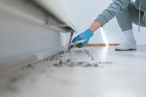 Best Pest Control Near Me in Dermott, AR