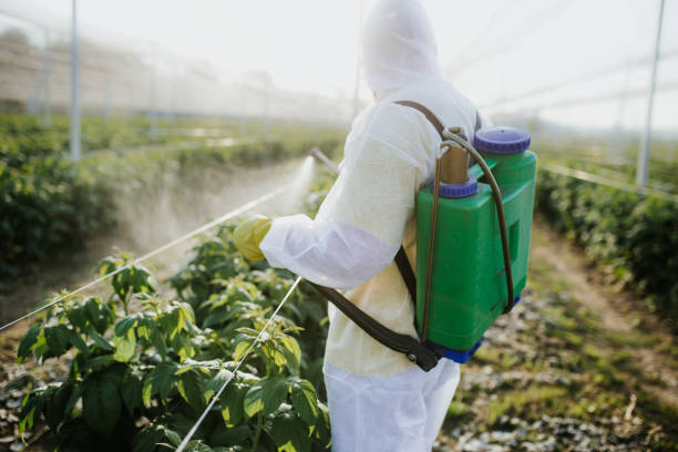 Pest Control for Restaurants in Dermott, AR